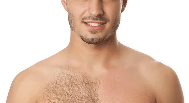 epilazione petto uomo epilazione petto uomo