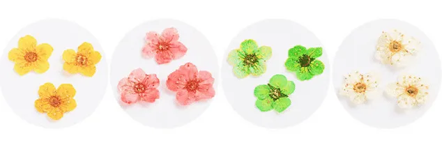 nail art fiori secchi